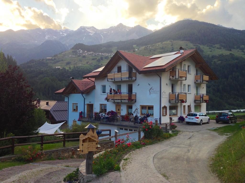 Bed and Breakfast Baita Scaia Коголо Экстерьер фото